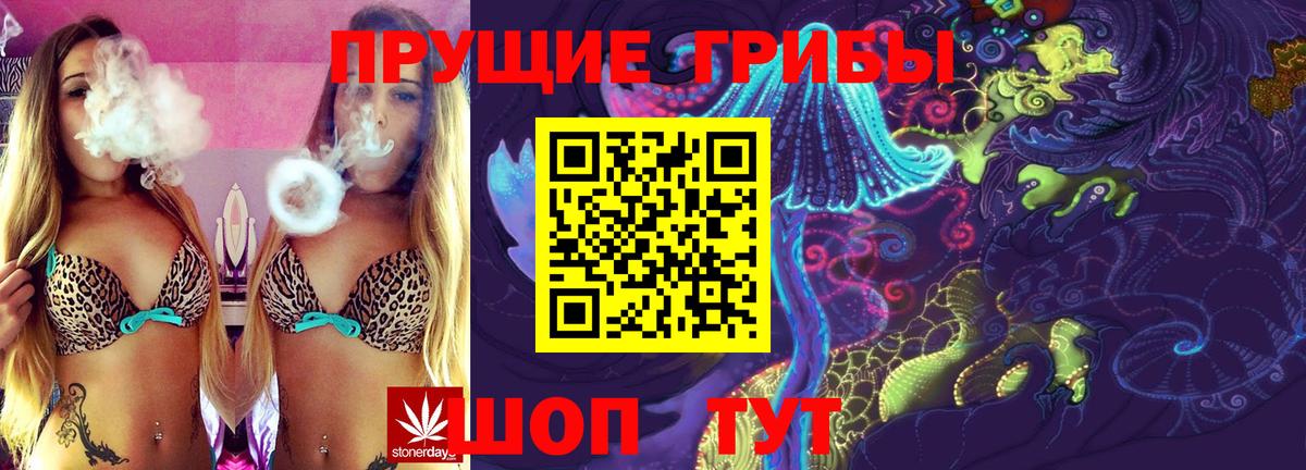 Ахтубинск  Псилоцибиновые грибы MAGIC MUSHROOMS  Вход с VPN 